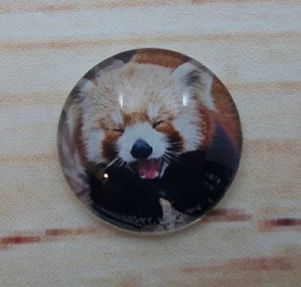 Alternate item image