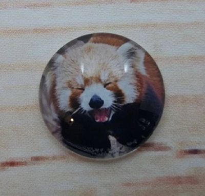 Alternate image for Adorable Red Panda Fridge Magnets
