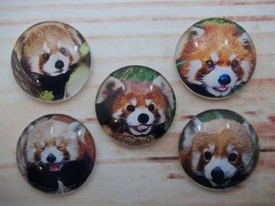 Alternate image for Adorable Red Panda Fridge Magnets
