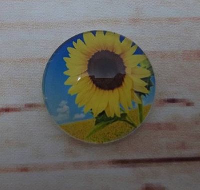 Alternate image for Pretty Yellow Sunflower Fridge Magnets