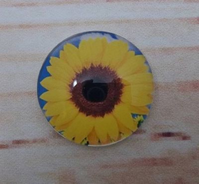 Alternate image for Pretty Yellow Sunflower Fridge Magnets