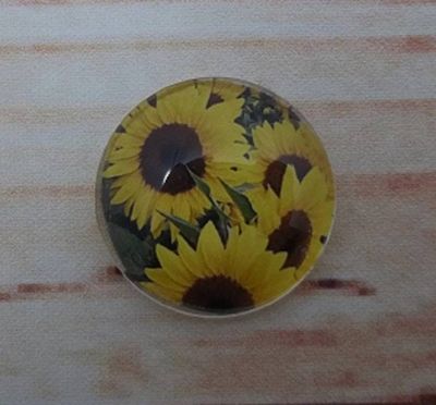 Alternate image for Pretty Yellow Sunflower Fridge Magnets