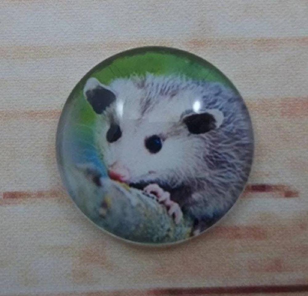Alternate item image