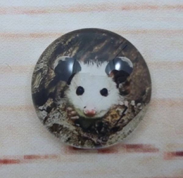 Alternate image for Adorable Possum Fridge Magnets