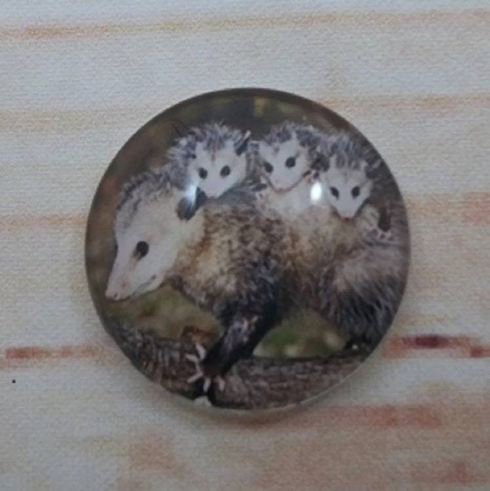 Alternate item image