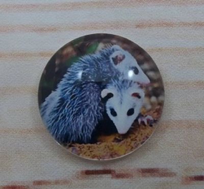 Alternate image for Adorable Possum Fridge Magnets
