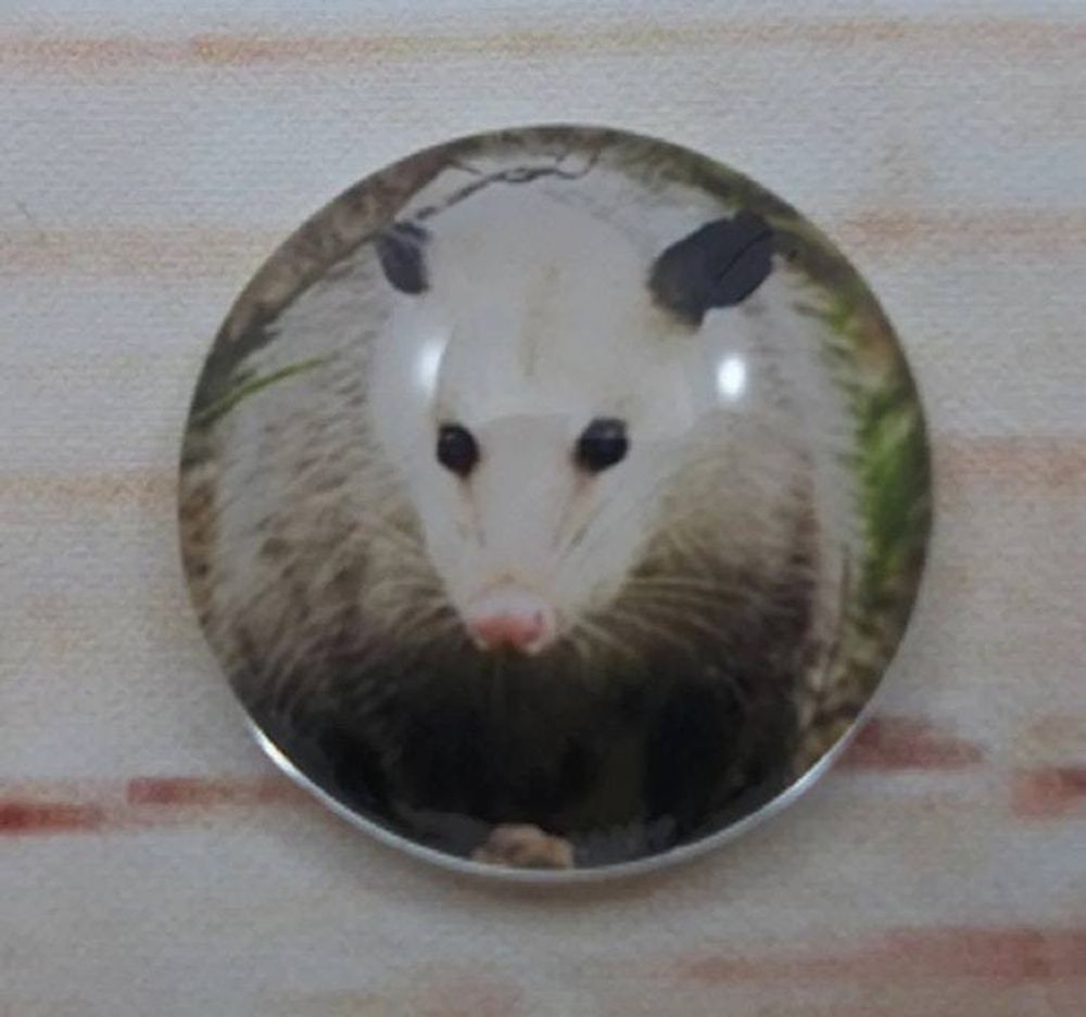 Alternate item image