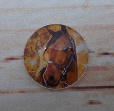 Alternate image for Beautiful Horses Fridge Magnets