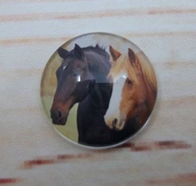 Alternate image for Beautiful Horses Fridge Magnets