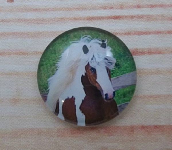 Alternate image for Beautiful Horse Fridge Magnet