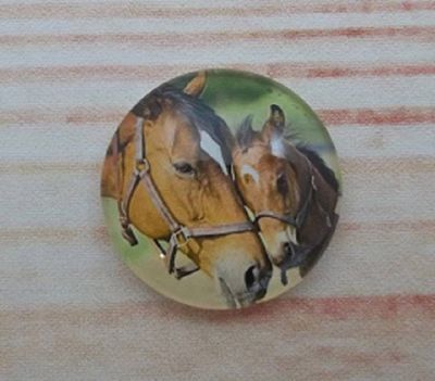 Alternate image for Beautiful Horse Fridge Magnet