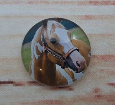 Alternate image for Beautiful Horse Fridge Magnet