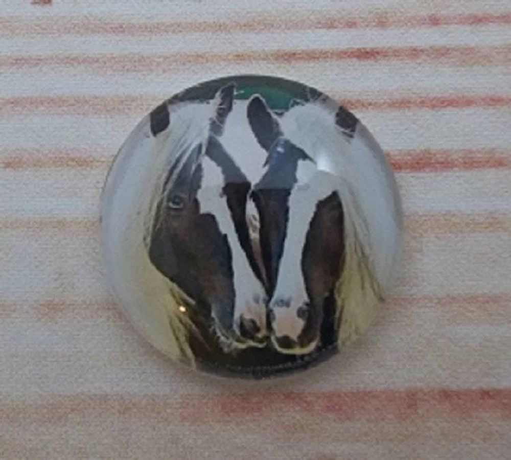 Alternate item image