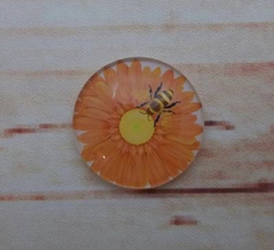 Alternate image for Bees and Daisies Fridge Magnets