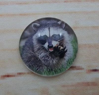 Alternate image for Adorable Raccoon Fridge Magnets
