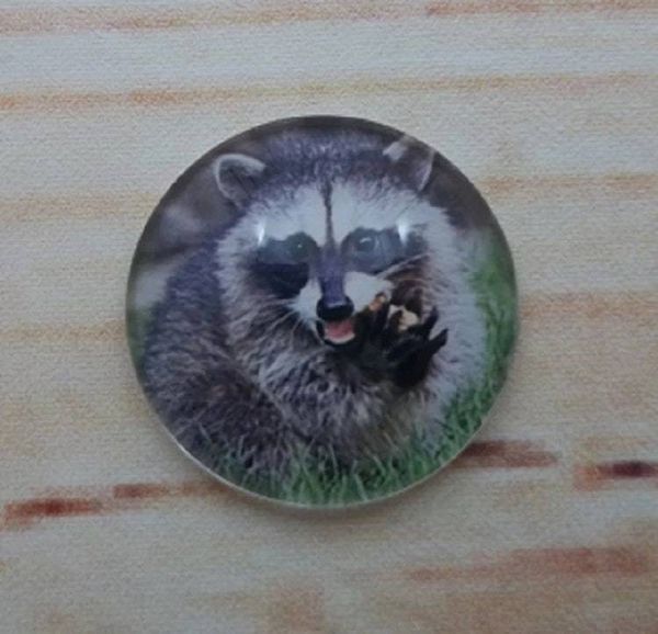 Alternate image for Adorable Raccoon Fridge Magnets
