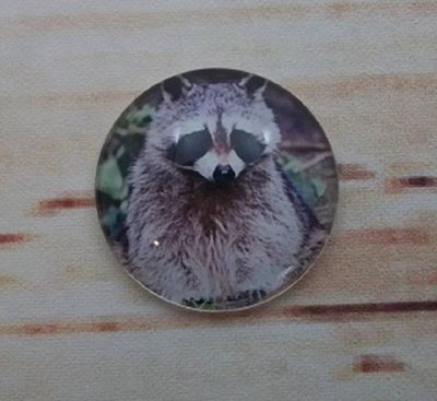 Alternate image for Adorable Raccoon Fridge Magnets