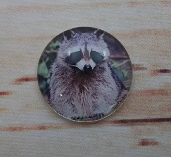 Alternate image for Adorable Raccoon Fridge Magnets