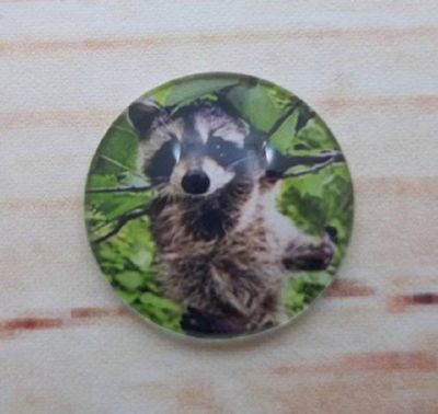 Alternate image for Adorable Raccoon Fridge Magnets