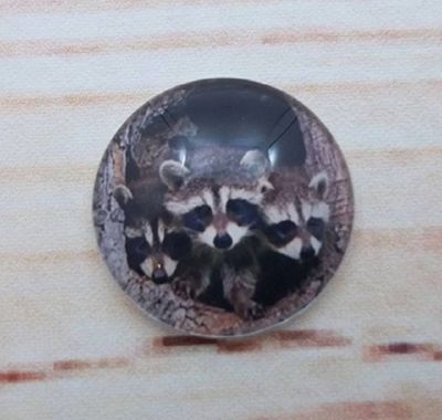 Alternate image for Adorable Raccoon Fridge Magnets