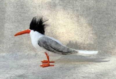 Primary image for Tern bird, needle felted shore bird, A sea bird name Sterling