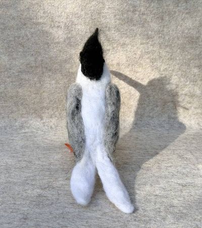 Alternate image for Tern bird, needle felted shore bird, A sea bird name Sterling