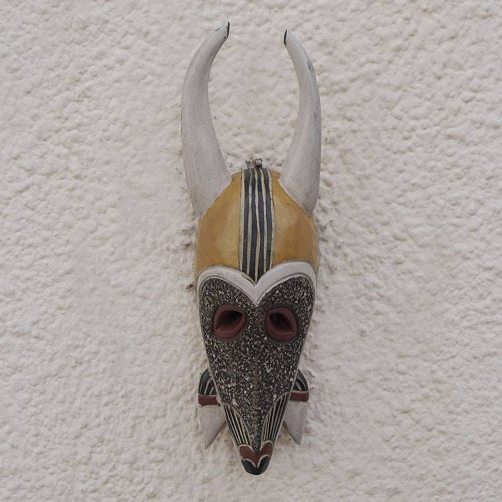Main item image