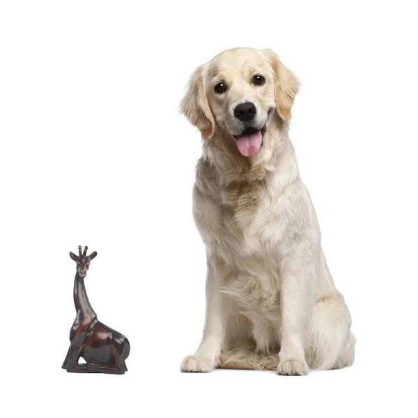 Alternate image for African Hand Carved Wood Kneeling Giraffe Sculpture Kneeling Giraffe