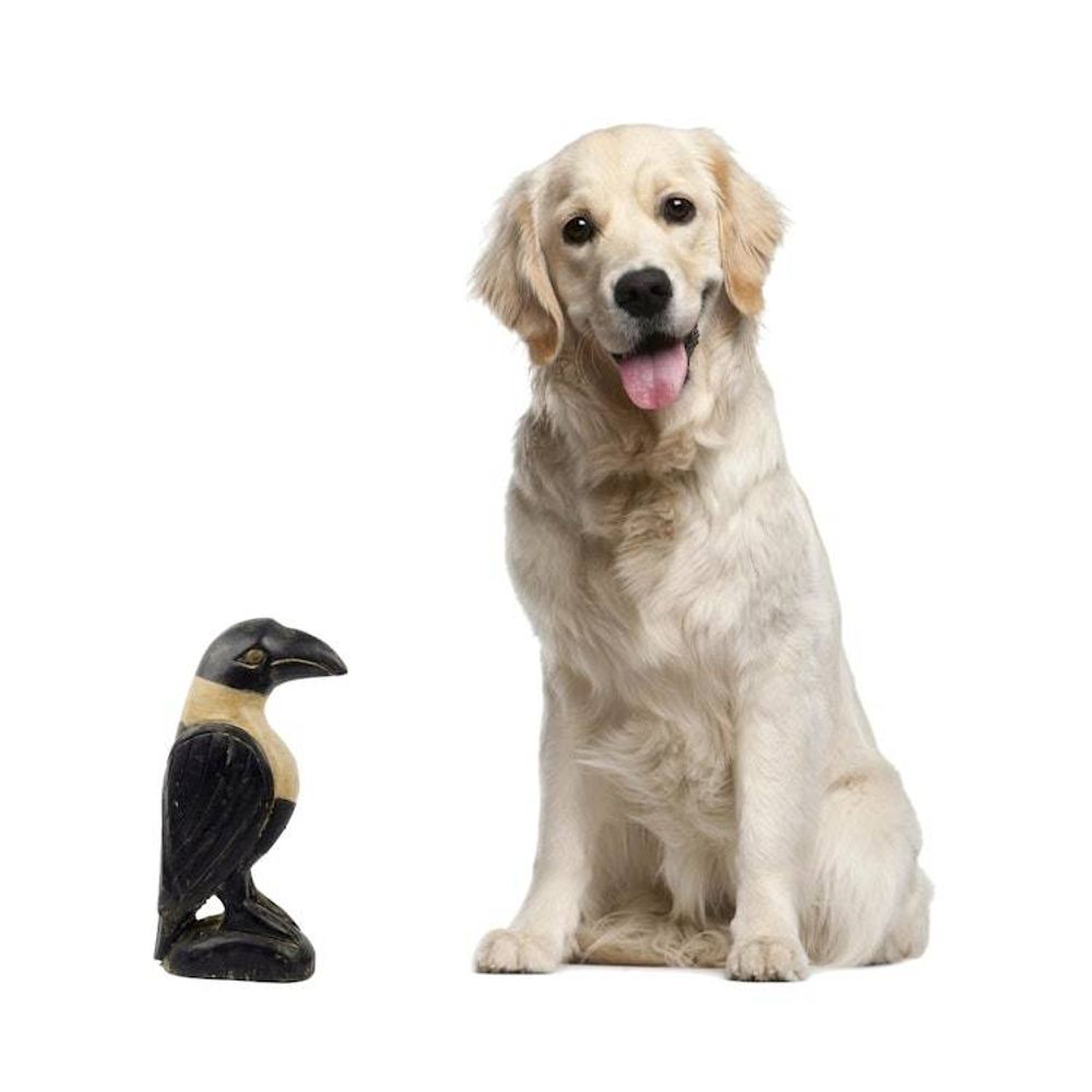 Alternate item image