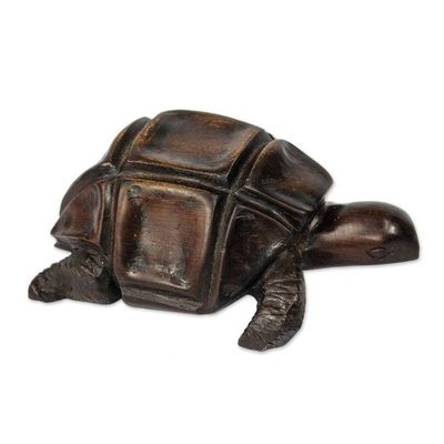 Alternate image for Hand Carved Wood Figurine African Tortoise