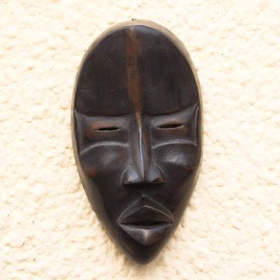 Alternate image for Dan wood mask Protecting the Traveler