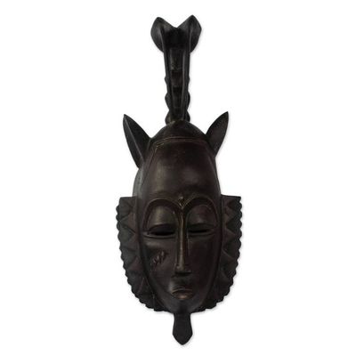 Alternate image for Ivoirian wood mask Bird Protector