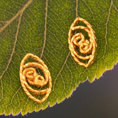 Alternate image for 18k Gold-Plated Eye-Shaped Stud Earrings with Braid Motifs Royal Mysticism