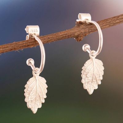 Alternate image for Leaf-Themed Modern Textured Silver Half-Hoop Earrings Peruvian Leaves
