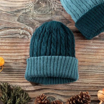 Alternate image for Reversible 100 Alpaca Cable Knit Hat in Teal and Green Warm and Soft