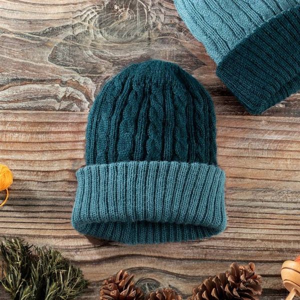 Alternate image for Reversible 100 Alpaca Cable Knit Hat in Teal and Green Warm and Soft