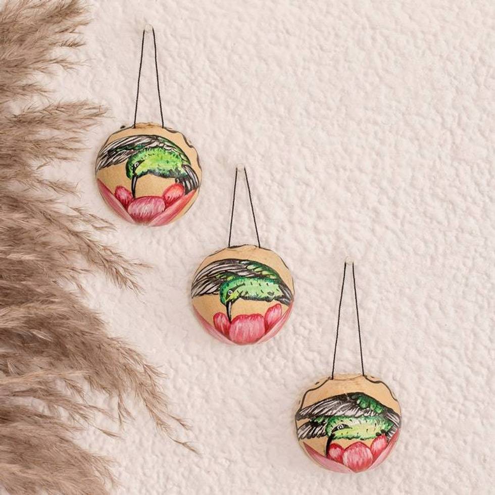 Set of 3 Hand-Painted Dried Gourd Bird Wall Accents 'Hummingbird Harmony'