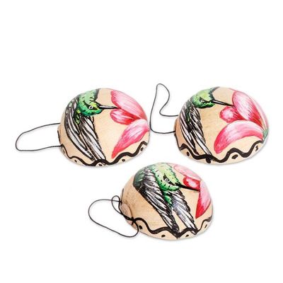 Alternate image for Set of 3 Hand-Painted Dried Gourd Bird Wall Accents Hummingbird Harmony