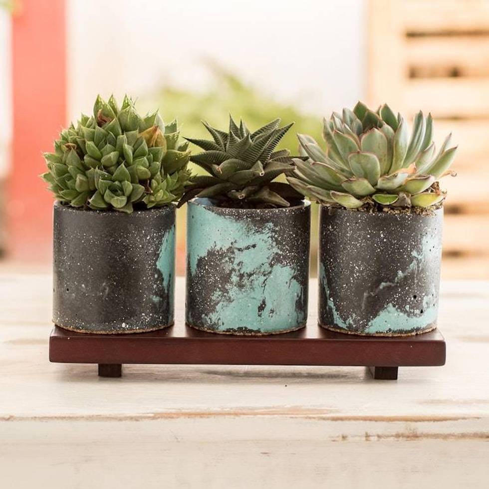 Shabby Chic-Inspired Flower Pots on Mahogany Base Set of 3 'Rustic Granite'