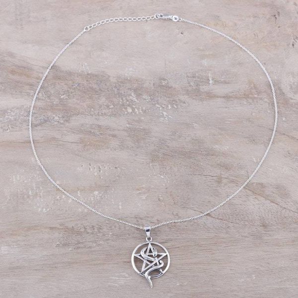 Alternate image for Snake and Star Sterling Silver Pendant Necklace from India Serpent and Star