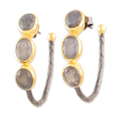 Alternate image for Gold-Accented Labradorite Drop Earrings from India Evening Air