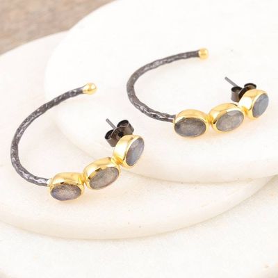 Alternate image for Gold-Accented Labradorite Drop Earrings from India Evening Air