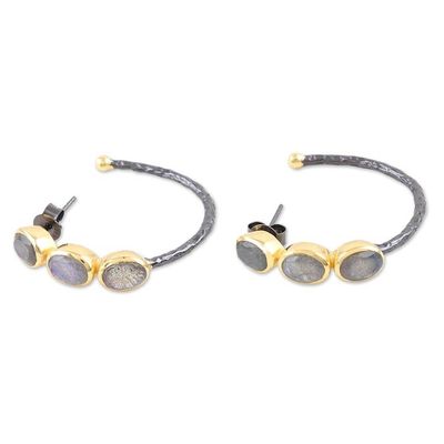 Alternate image for Gold-Accented Labradorite Drop Earrings from India Evening Air