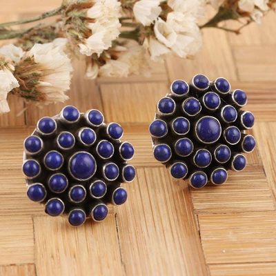 Primary image for Lapis Lazuli and Sterling Silver Button Earrings Precious Truth