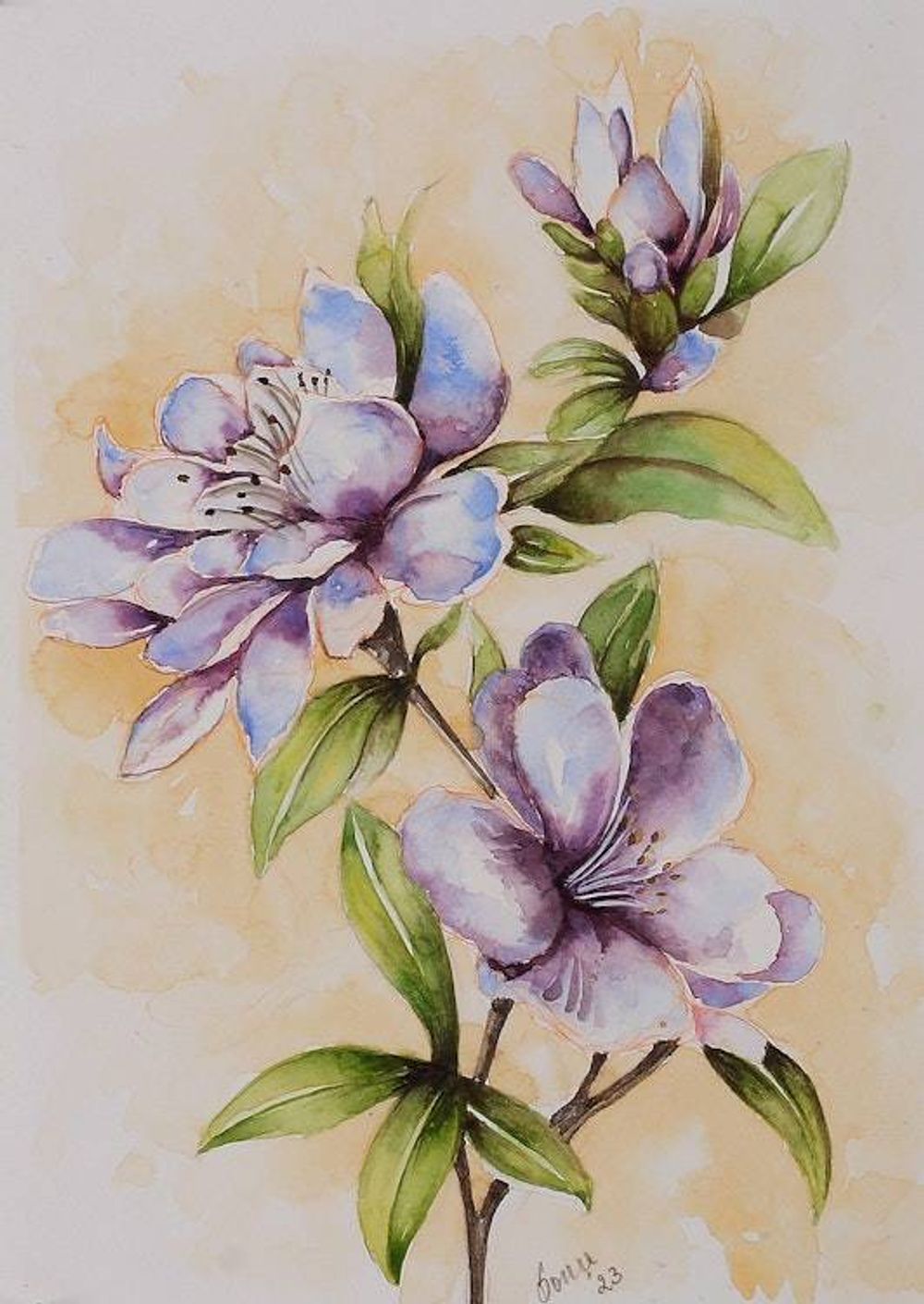 Main item image