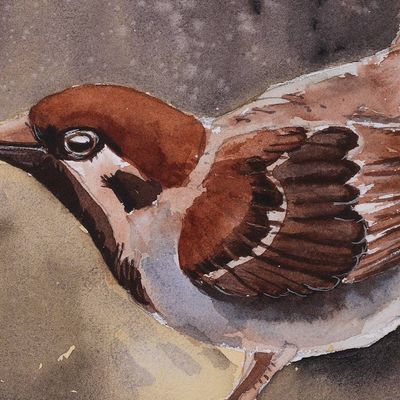 Alternate image for Signed Impressionist Watercolor Sparrow Painting from India Glorious Sparrow