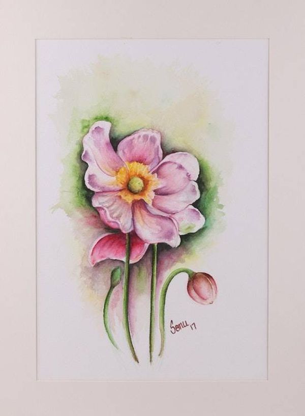 Alternate image for Signed Realist Painting of a Poppy Flower from India Poppy Love
