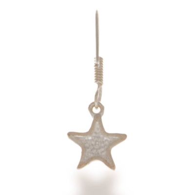 Alternate image for Polished and Matte Sterling Silver Starfish Dangle Earrings New Stardom