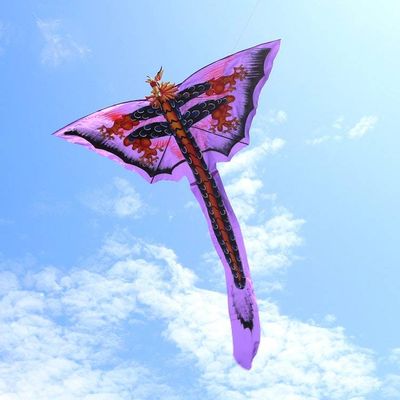 Alternate image for Hand Painted Nylon Purple Balinese Dragon Kite Purple Dragon