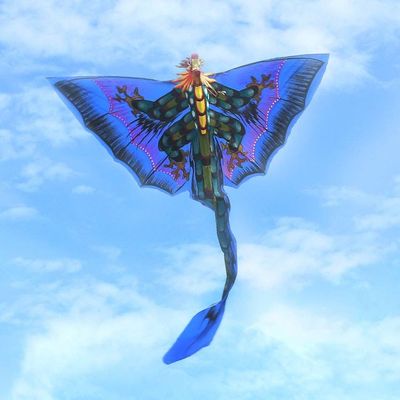 Alternate image for Hand Painted Nylon Blue Balinese Dragon Kite Blue Night Dragon